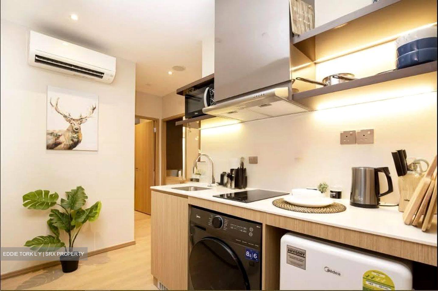 Mount Elizabeth Link (D9), Apartment #598679461
